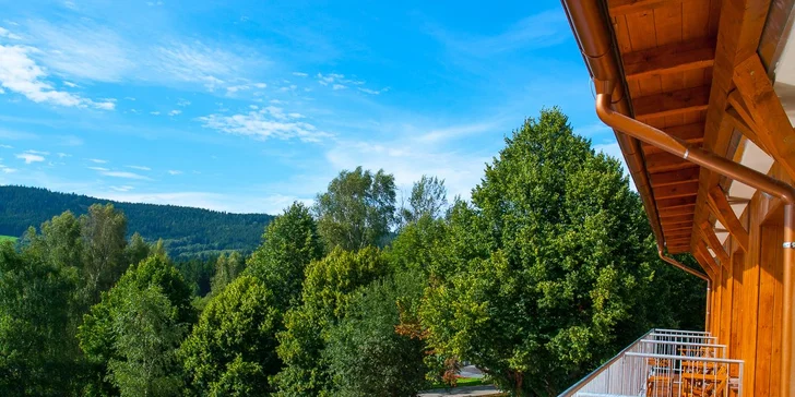 Odpočinkové jarní všední dny pro 2 až 4 osoby u Lipenské přehrady s wellness