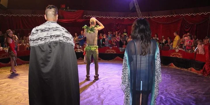 Den dětí v cirkusu: malování na obličej, žonglování, show, lachtani i slonice