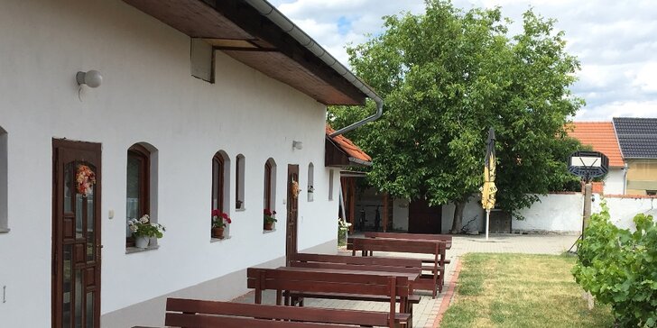 Vinařský pobyt s degustací na jižní Moravě v plně vybaveném apartmánu
