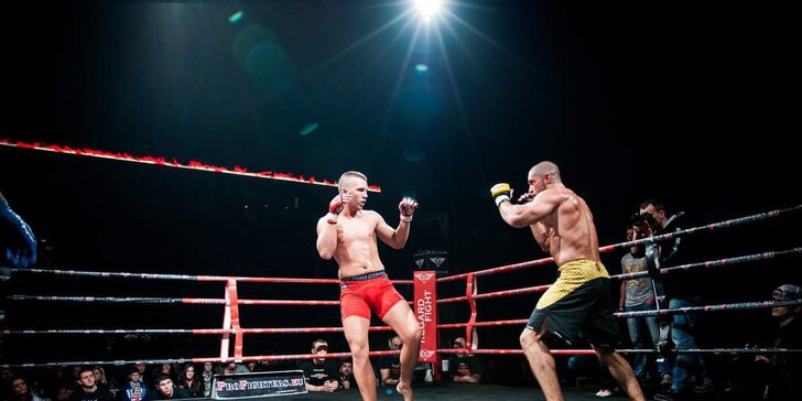 Zážitkový privátní trénink s mistrem MMA: smíšené bojové umění na míru