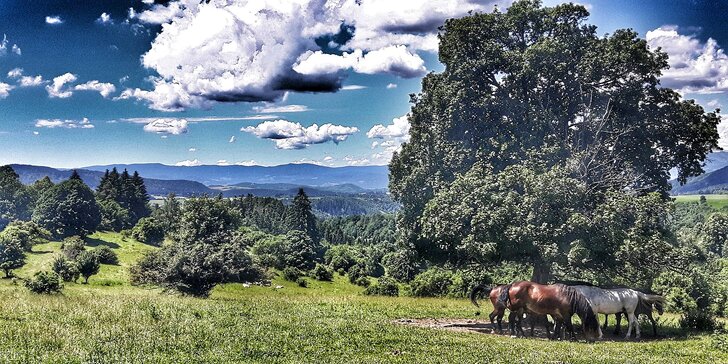 Dovolená na ranči v Nízkých Tatrách s možností wellness i jízdy na koni