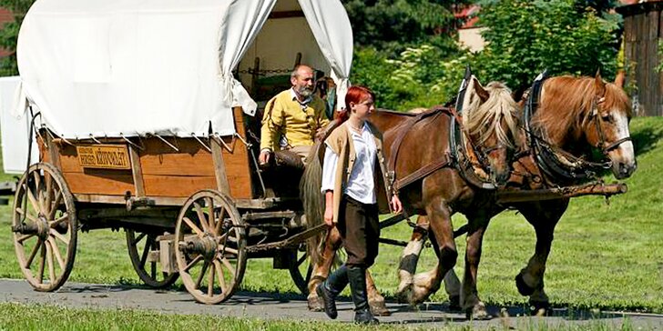 Rodinná jízda koňským povozem na Křivoklátsku