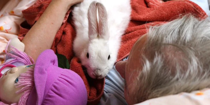 Snaží se o to, aby byl život seniorů i na jeho sklonku dobrý, důstojný, a pokud možno bezbolestný. 