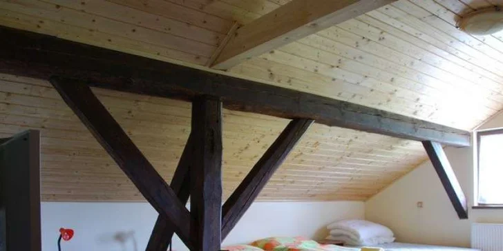 Klid v srdci Šumavy: 3 nebo 4 noci v rodinném penzionu a domácí polopenze