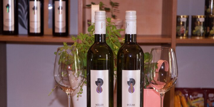 Láhev vína podle výběru, olivy a slané pochutiny kousek od centra Brna