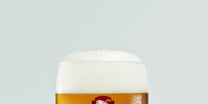 Metr piva: 10x 0,5 l piva z pivovaru Pernštejn dle výběru z 8 druhů