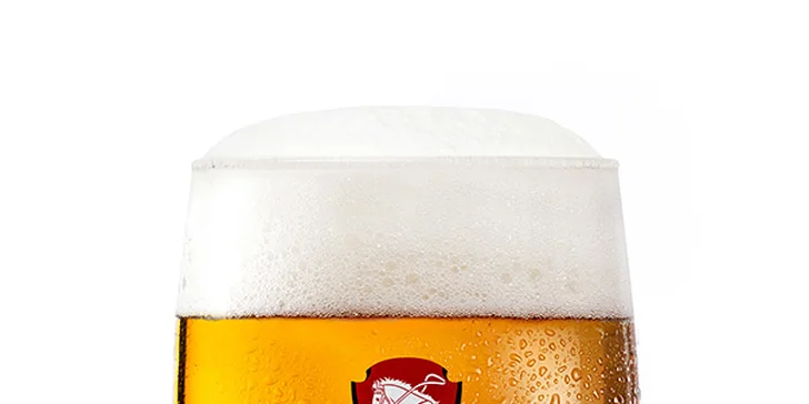 Metr piva: 10x 0,5 l piva z pivovaru Pernštejn dle výběru z 8 druhů