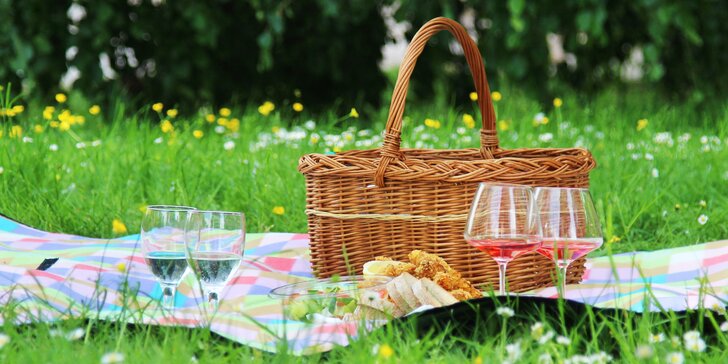 Piknik: sandwiche, saláty, grilovaný kuřecí gyros, víno i domácí limonády
