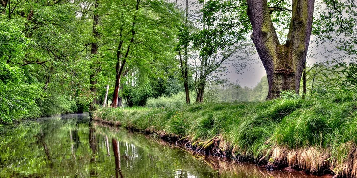 Piknik v přírodě pro pár či celou rodinu: řecký, vegetariánský či romantický s lahví prosecca