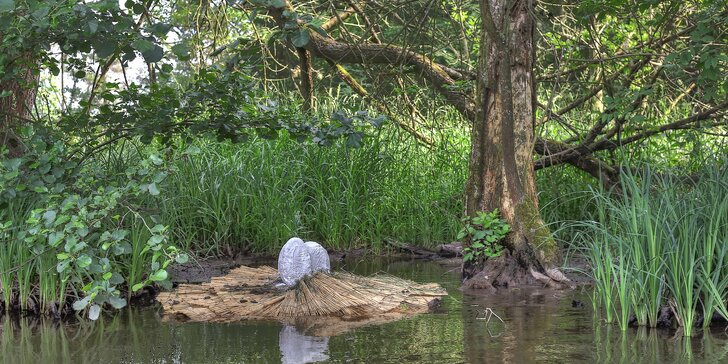 Plavba Krokodýlí řekou: soukromá projížďka na loďce na lesní říčce pro celou rodinu
