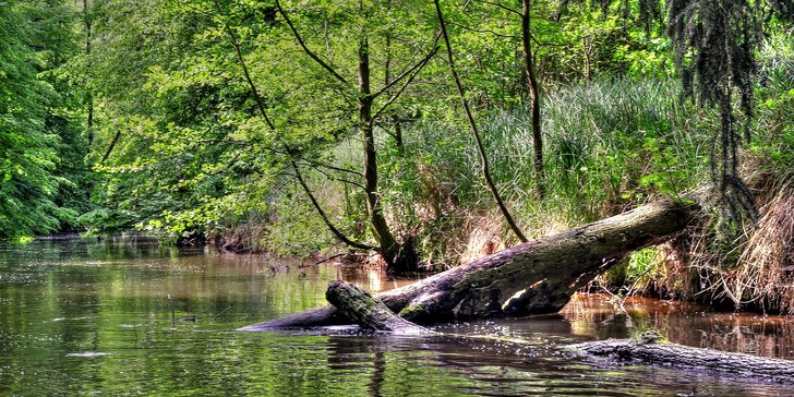 Plavba Krokodýlí řekou: soukromá projížďka na loďce na lesní říčce pro celou rodinu