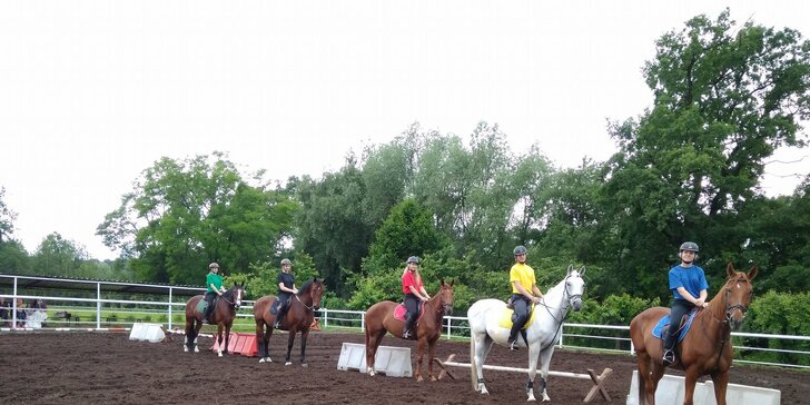 Sobota v sedle: zážitkový den u koní - práce se zvířaty i hodina v jízdárně