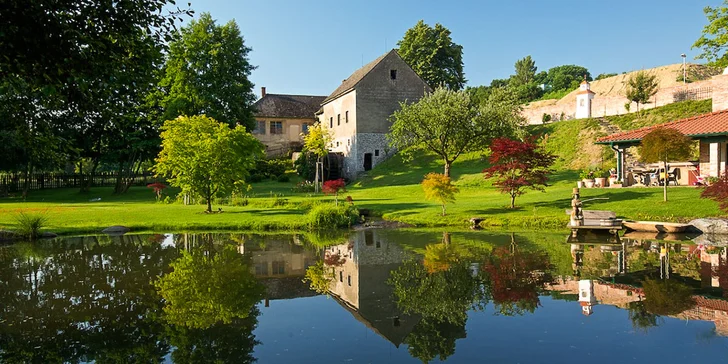 Boutique hotel Pri Mlyne****