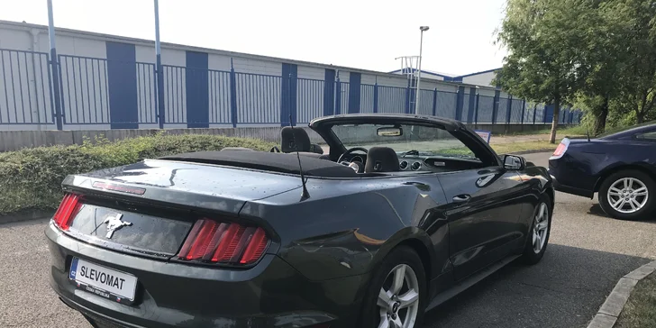 Za volantem legendy: půjčte si kabriolet Ford Mustang na den i víkend