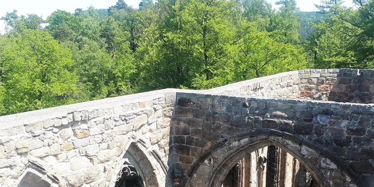 Žitavské hory a Saská Lužice: Parním vlakem ke skalnímu hradu a k jezeru