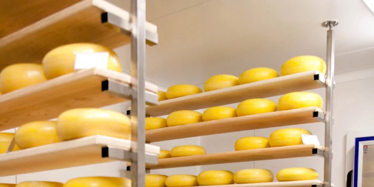 Exkurze na statku v jižních Čechách: pastviny i sýrárna s degustací