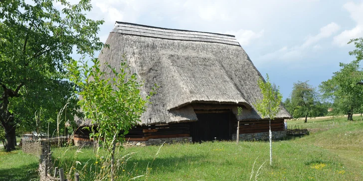 Rodinný výlet: vstupenka do skanzenu a muzea v Kouřimi