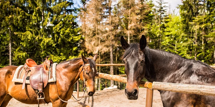 Jaro nebo léto v horském wellness hotelu: snídaně či polopenze, bazén, sauny