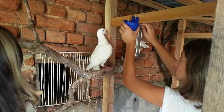 Týdenní jezdecký tábor pro děti od 7 let pro začátečníky i pokročilé