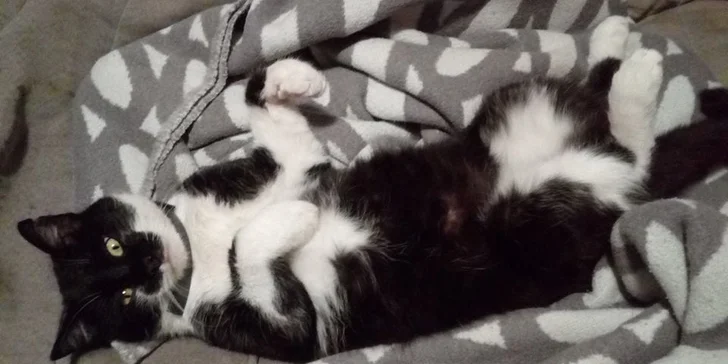 Týdenní jezdecký tábor pro děti od 7 let pro začátečníky i pokročilé
