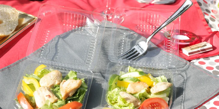 Piknik pod širým nebem: 5 variant občerstvení s masem, salátem i dezertem