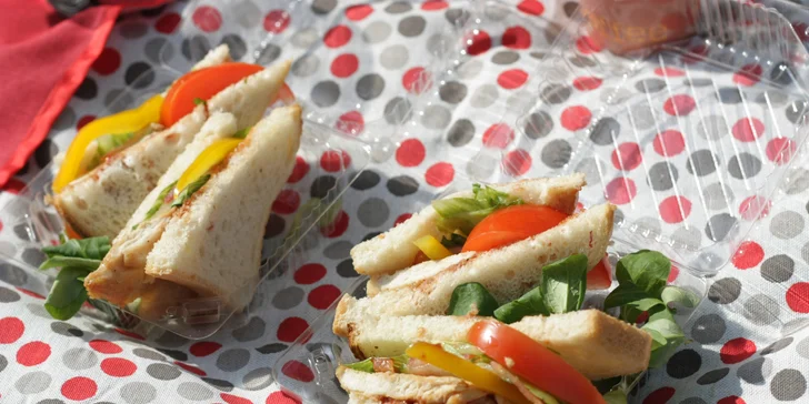 Piknik pod širým nebem: 5 variant občerstvení s masem, salátem i dezertem