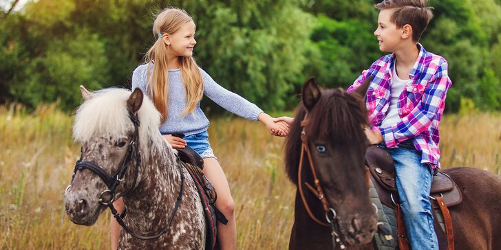 Letní příměstský tábor pro děti 6-12 let na ranči plném koní nedaleko Prahy