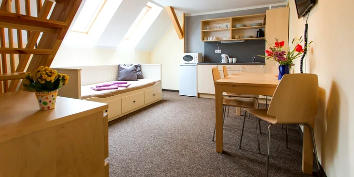 Letní dovolená pro celou rodinu v Krušných horách v rodinných apartmánech