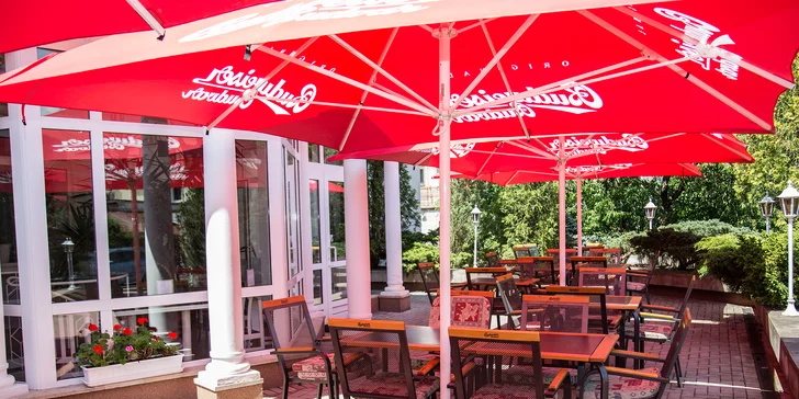 Léto v Mariánských Lázních pro dva: polopenze, solná jeskyně a další relax