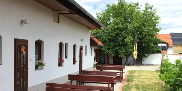 Vinařský pobyt s degustací na jižní Moravě: platnost na celou sezonu 2019