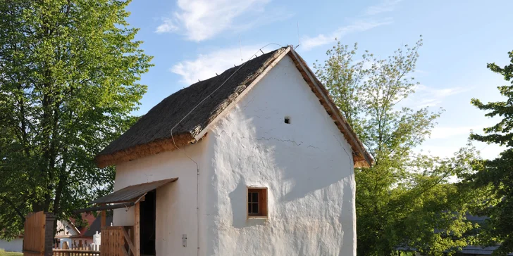 Rodinný výlet: vstupenka do skanzenu a muzea v Kouřimi