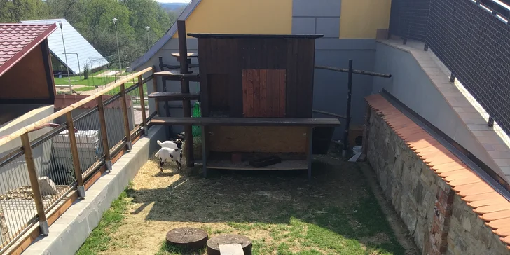 Celodenní vstup na minigolf a do zoo farmy pro 2 osoby nebo celou rodinu