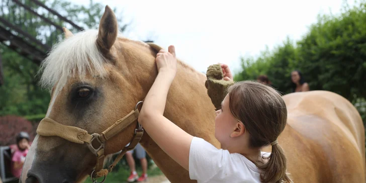 Jezdecký tábor pro děti od 7 let: teoretické i praktické lekce a zábava