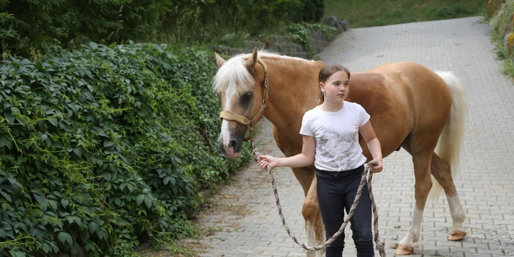 Jezdecký tábor pro děti od 7 let: teoretické i praktické lekce a zábava