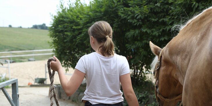 Jezdecký tábor pro děti od 7 let: teoretické i praktické lekce a zábava
