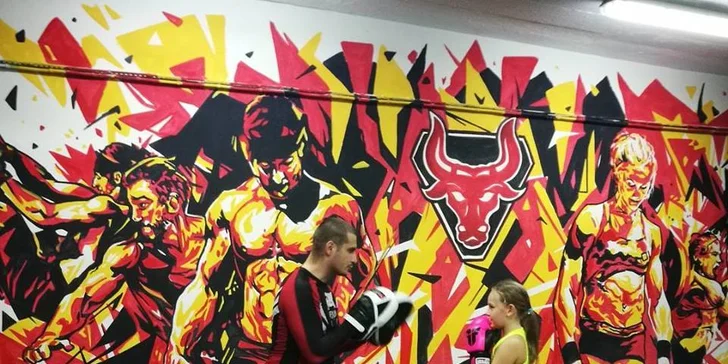 Měsíční permice na lekce dle výběru: CrossTrénink, Boxfit a další