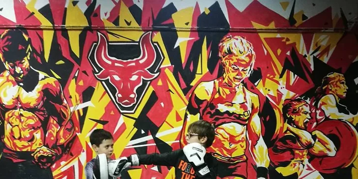 Měsíční permice na lekce dle výběru: CrossTrénink, Boxfit a další