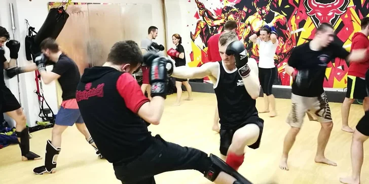 Měsíční permice na lekce dle výběru: CrossTrénink, Boxfit a další