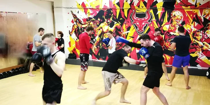 Měsíční permice na lekce dle výběru: CrossTrénink, Boxfit a další