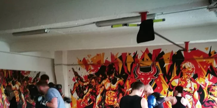 Měsíční permice na lekce dle výběru: CrossTrénink, Boxfit a další