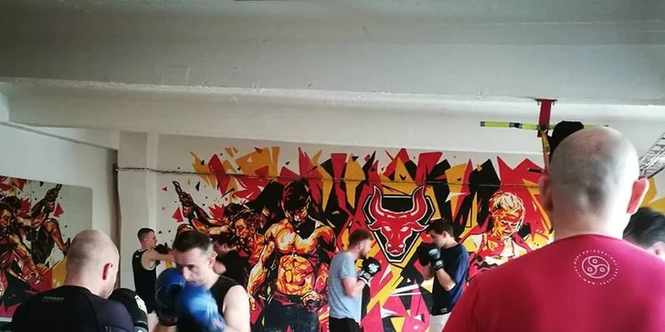 Měsíční permice na lekce dle výběru: CrossTrénink, Boxfit a další