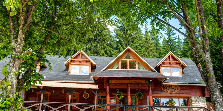 Pobyt ve srubu se snídaní a vstupem do 4* wellness Grand hotelu Permon