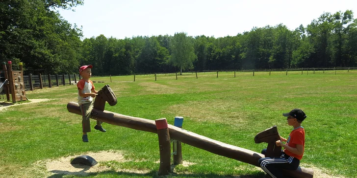 Pošlete své ratolesti na příměstský tábor s výukou anglického jazyka