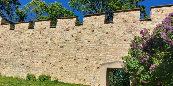 Procházky se těší skvělému hodnocení zákazníků. 