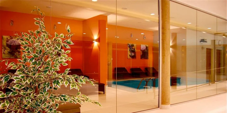 Za přírodou a lenošením do Orlických hor: polopenze, wellness i fitko