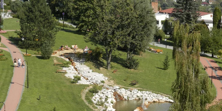 Lázeňský nebo wellness pobyt: Polopenze či plná penze a až 10 procedur