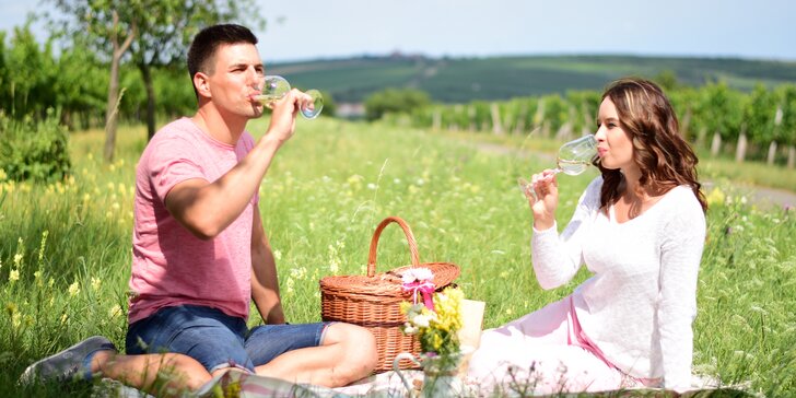 Romantický pobyt na 3 dny se snídaní a lahví vína v srdci jižní Moravy