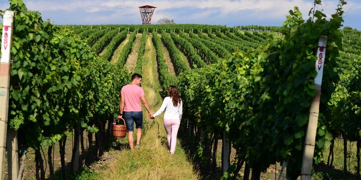 Romantický pobyt na 3 dny se snídaní a lahví vína v srdci jižní Moravy