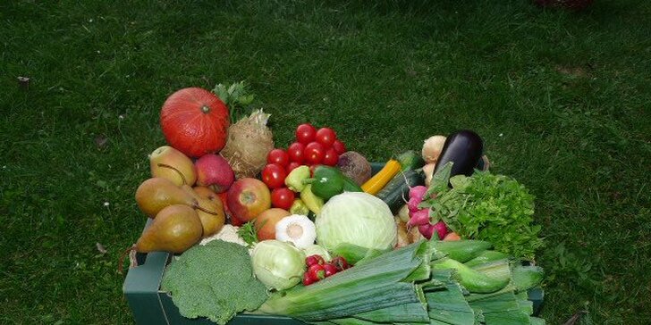 4–5 kg ovoce, zeleniny i mléčných produktů