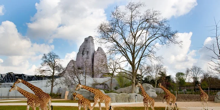 Zájezd do Paříže a Disneylandu: 1 nebo 2 noci, bez vstupenky do parku